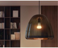 Philips Hue White Inteligentna Żarówka E27 1600lm - 700532 - zdjęcie 5